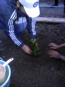 Walikota Tatong Bara Saat Menanam Pohon