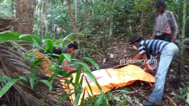 Tampak evakuasi mayat oleh anggota Polsek Dumoga Barat