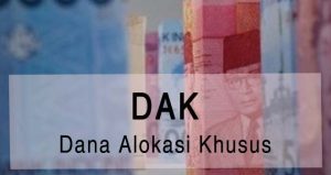 Dana Alokasi Khusus