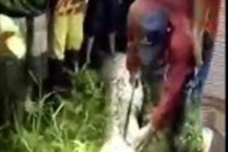 Akbar (25 Tahun), Seorang Petani Asal Dusun Pangerang Desa Salubiro Kecamatan Karossa Kabupaten Mamuju Tengah.