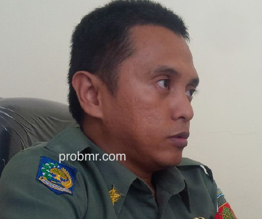 Aldi Pudul