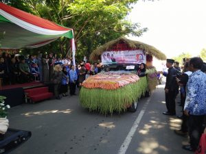 Salah satu mobil yang dihias menggunakan bahan sayur-sayuran menarik perhatian penonton 