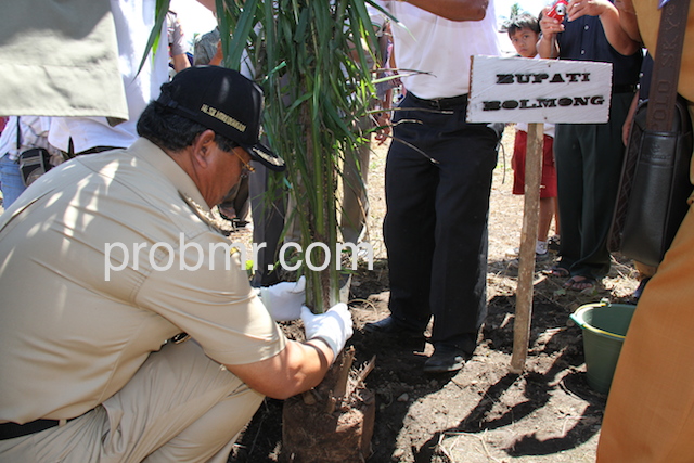 Tampak penanaman sawit oleh Bupati Salihi Mokodongan, beberapa waktu lalu.