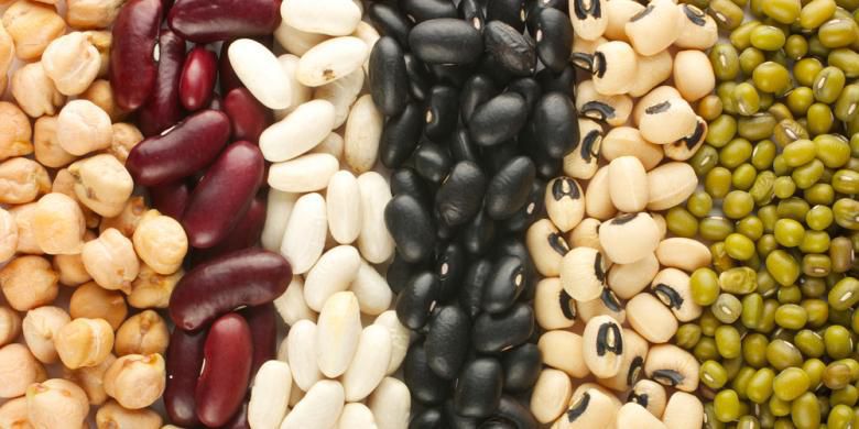 Kacang-kacangan