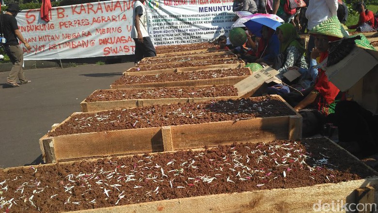Petani Telukjambe gelar aksi kubur diri