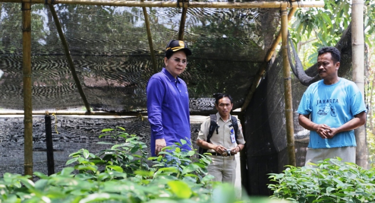 Walikota saat meninjau penyaluran bibit di Kelurahan Mongkonai