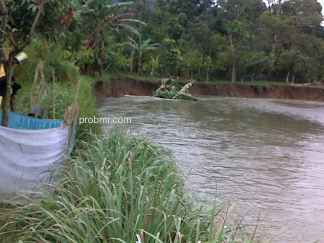Bantaran Sungai Ongkag