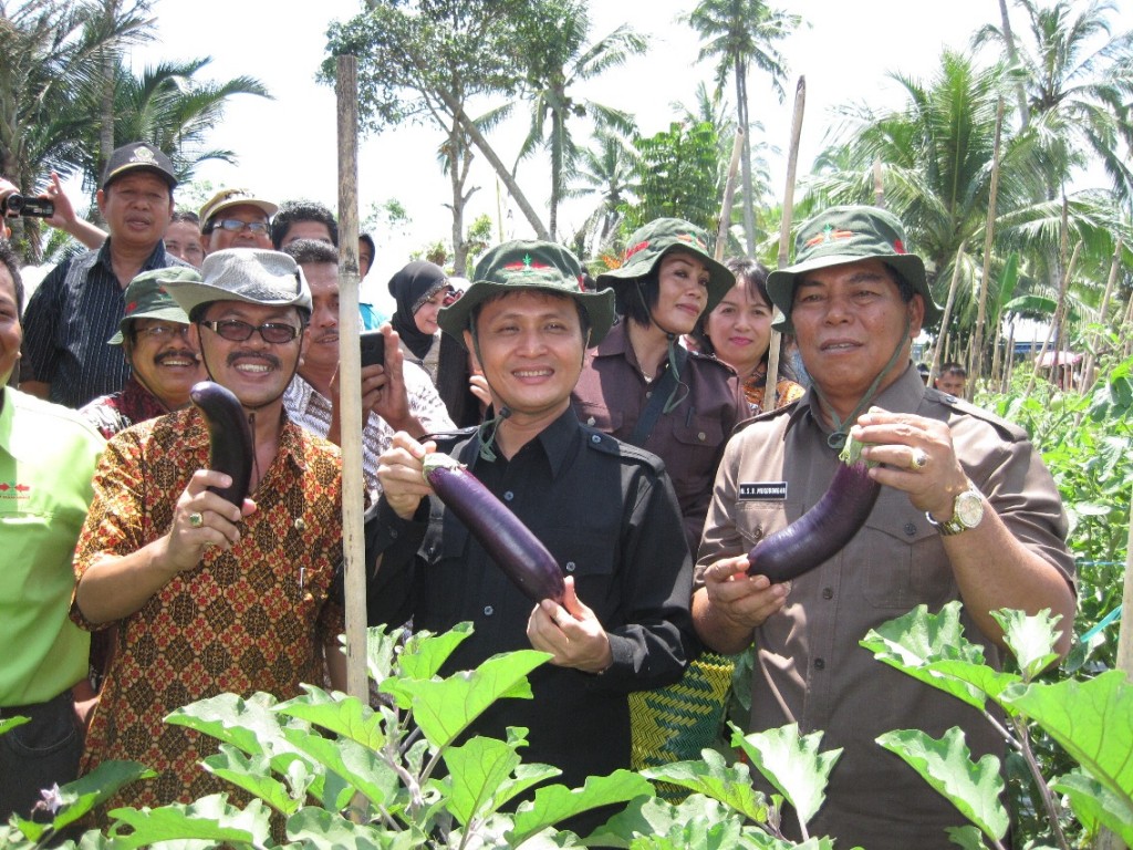 panen holtikultura di dumoga kemarin