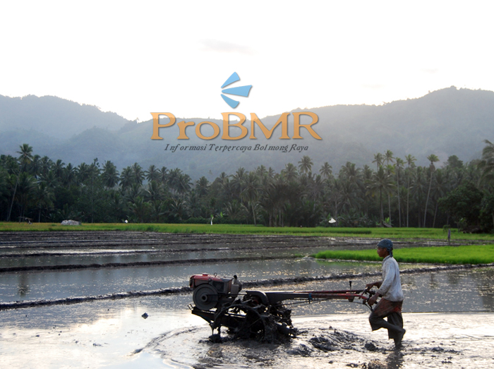 Tampak aktivitas petani Bolmong