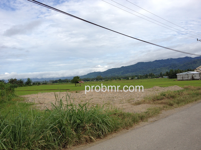 Tampak penimbunan sawah di Dumoga untuk pembangunan.
